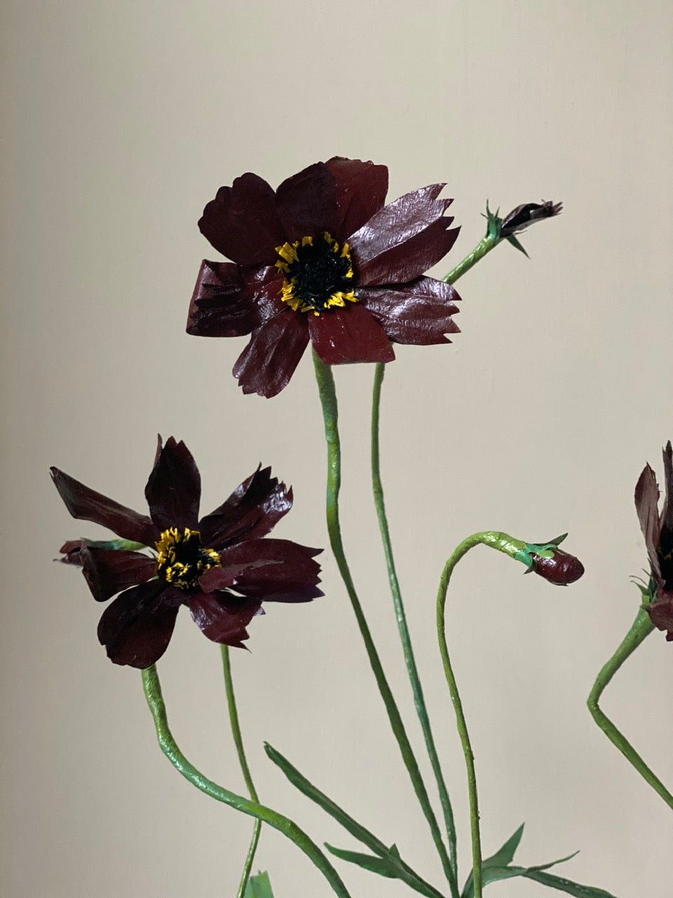 Chocolate Flower