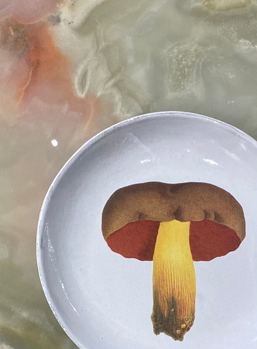 Bolet Pemicieux Soup Plate