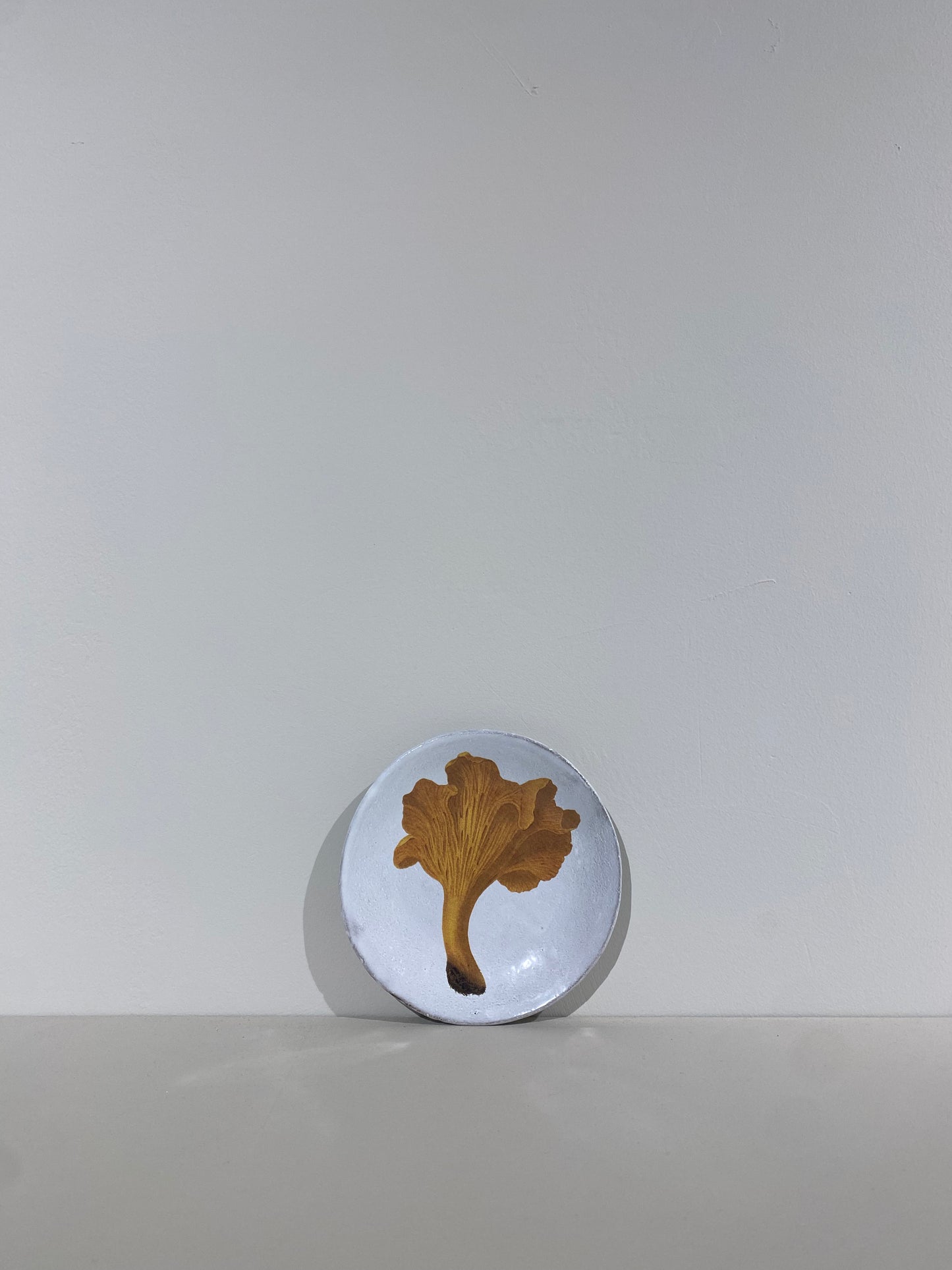 Chanterelle Comestible Plate
