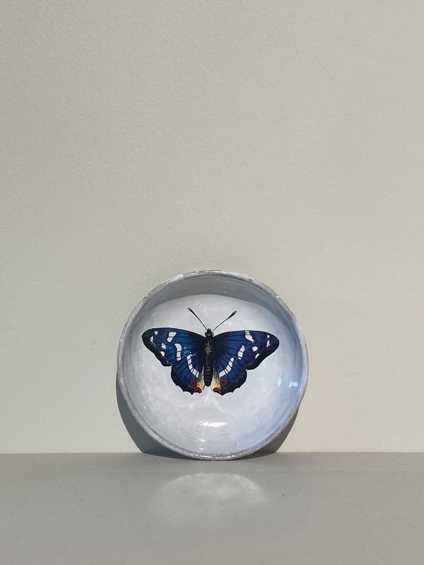 Dark Blue Butterfly Dish