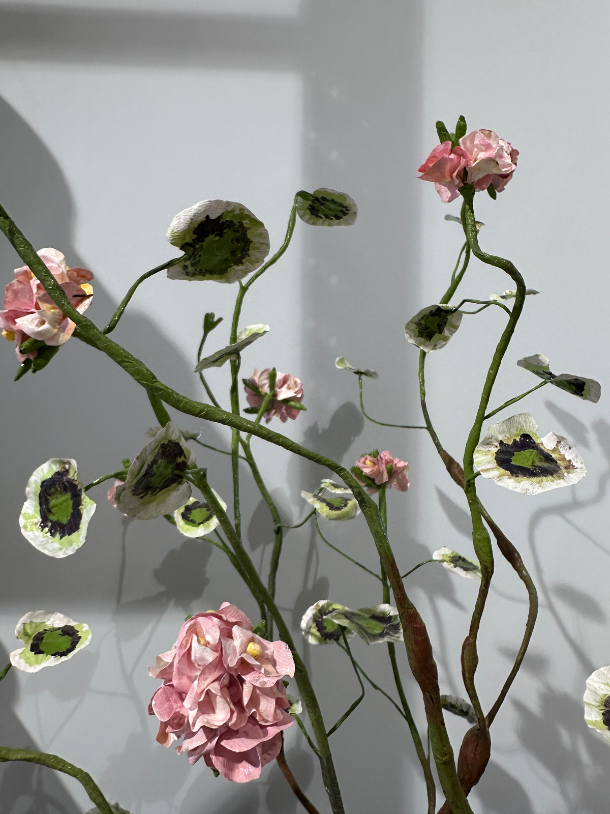 Pelargonium Grand by Louise Moestrup