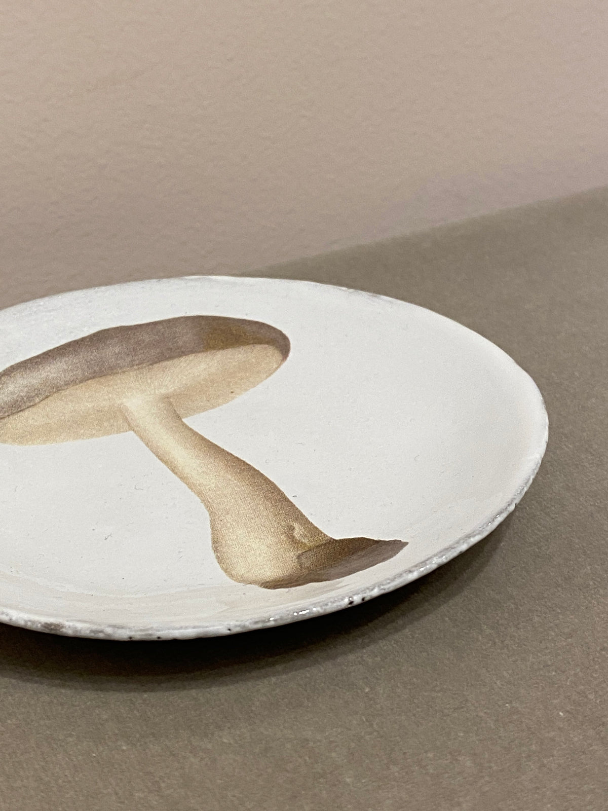 Agaric Nebuleux Plate