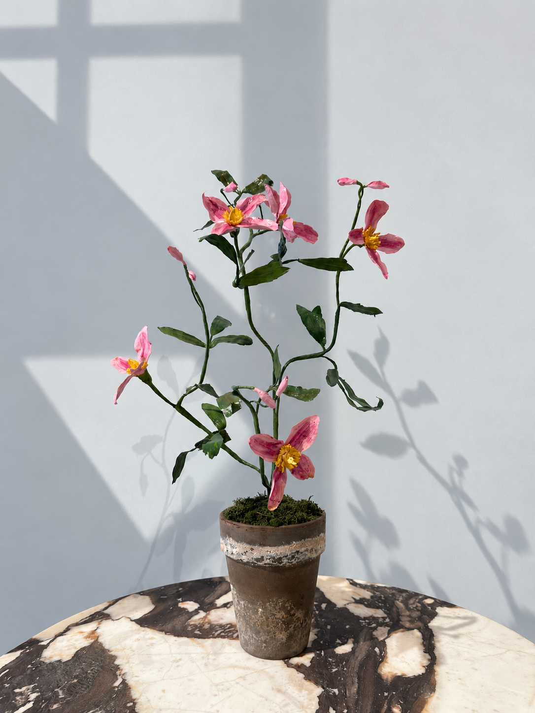 Clematis by Louise Moestrup