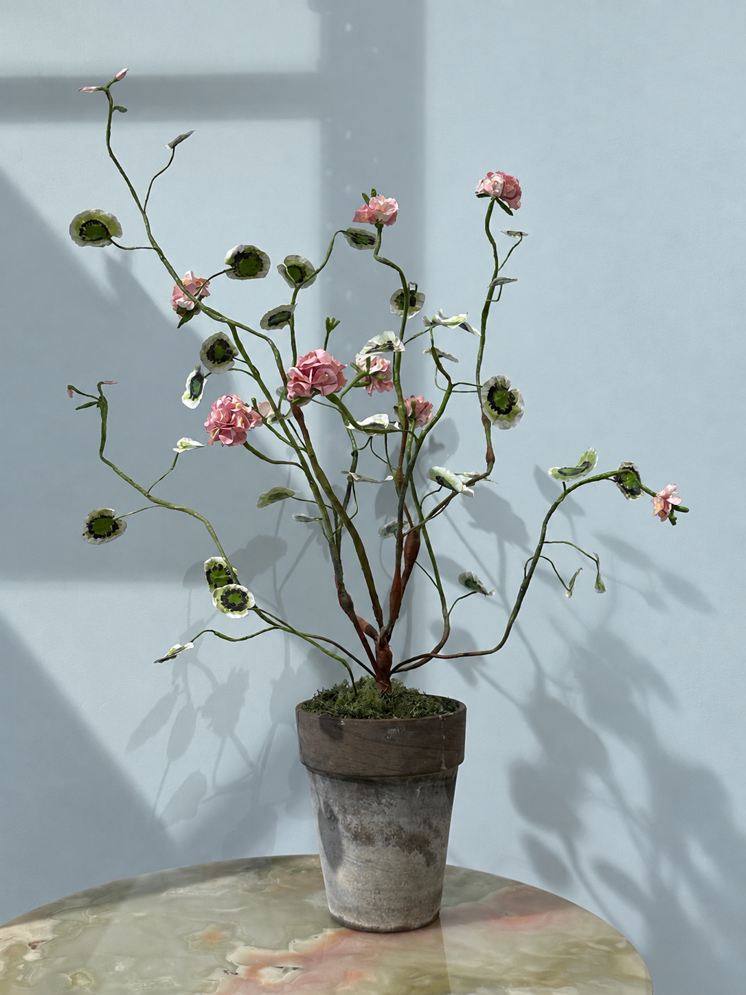Pelargonium Grand by Louise Moestrup