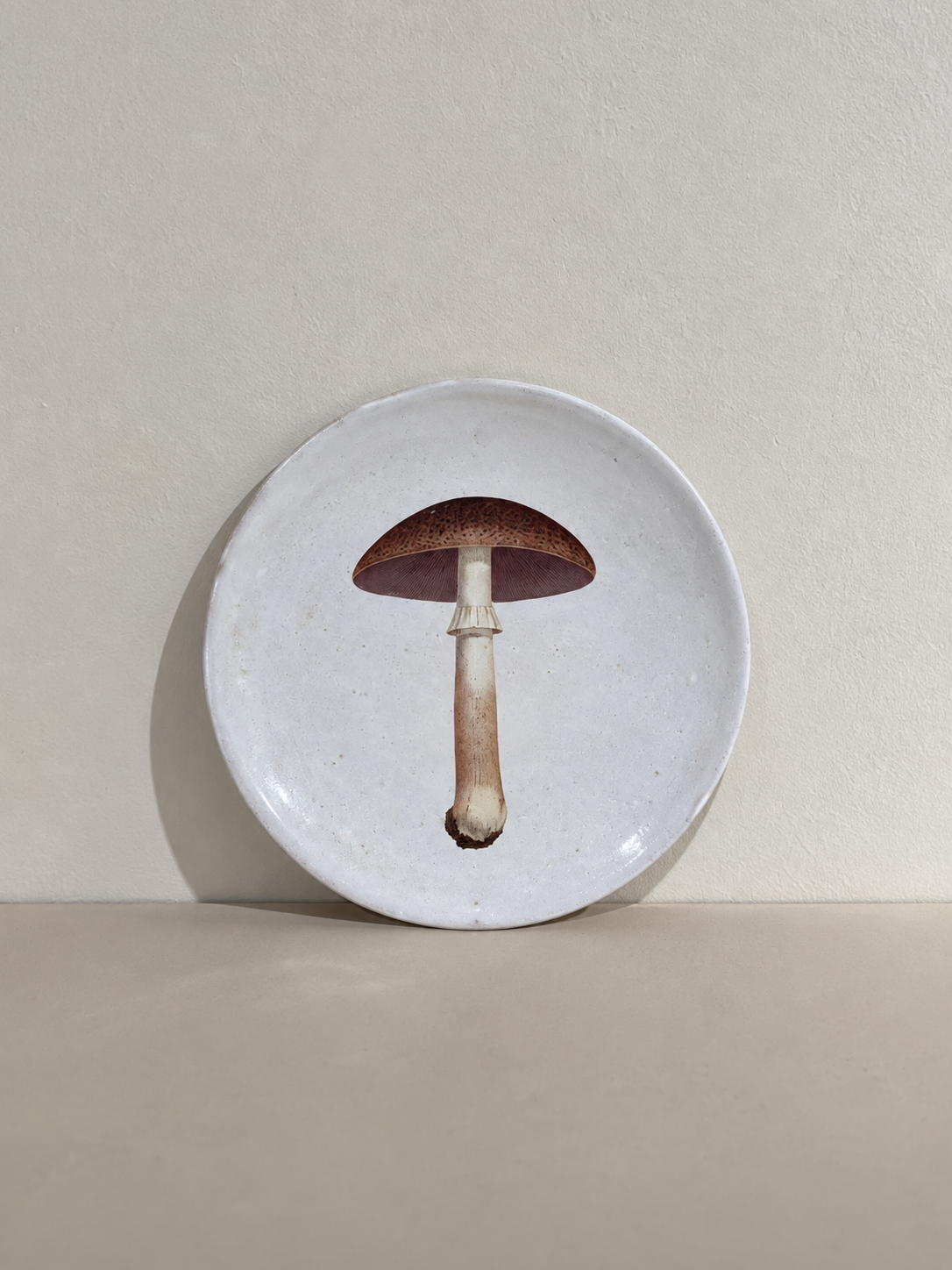 Medium Mauve Champignon Comestible Plate