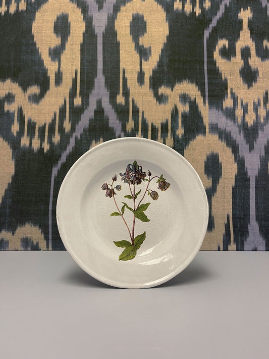 Columbine Flower Soup Plate
