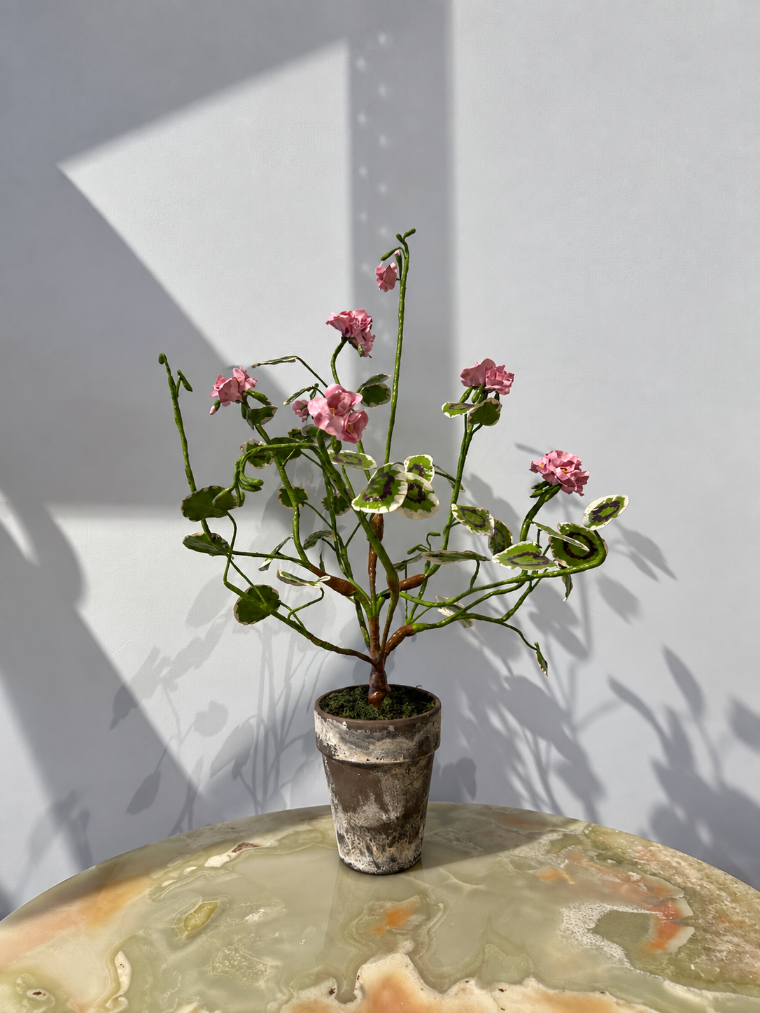 Pelargonium Pink by Louise Moestrup