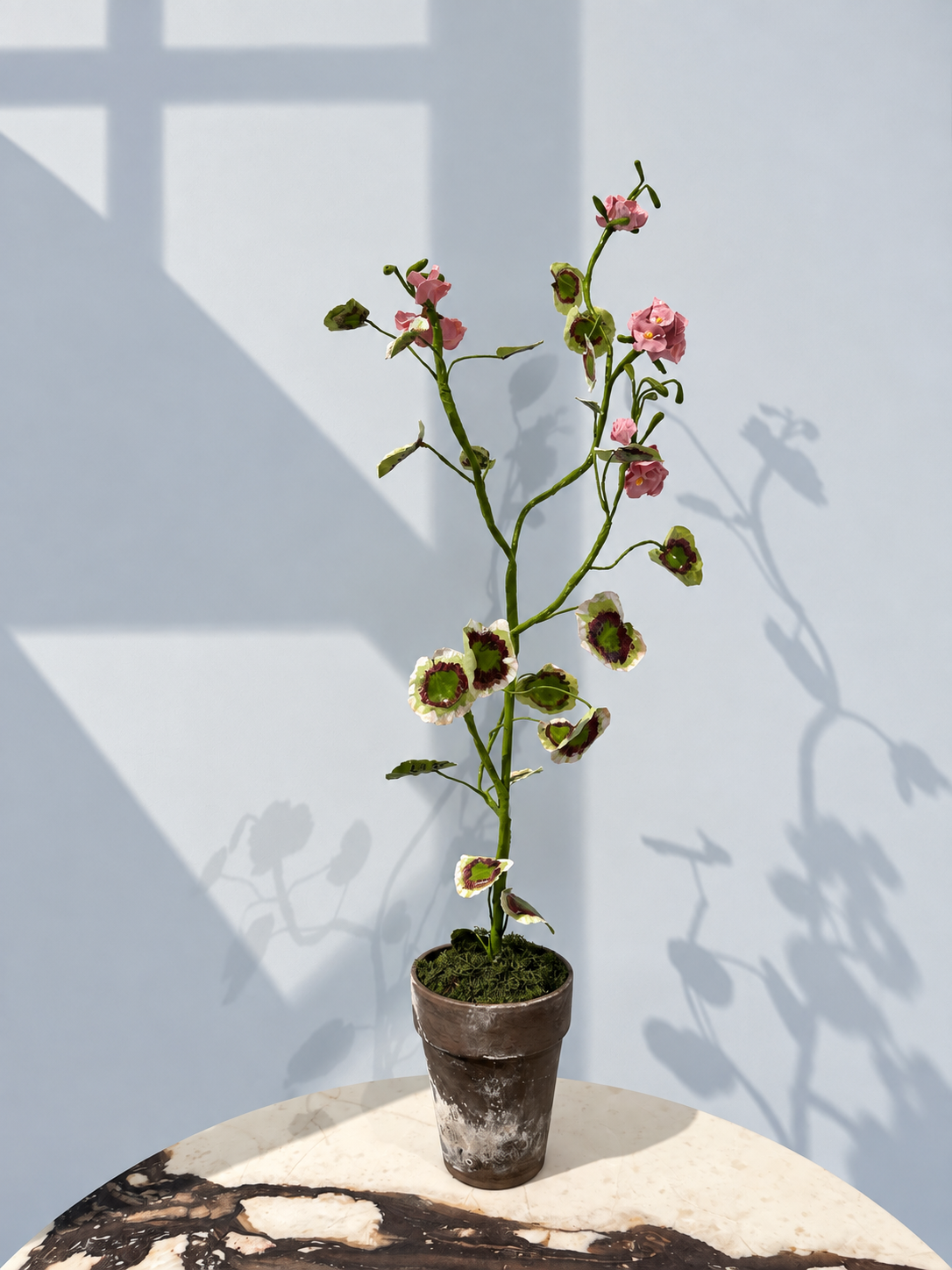 Pelargonium Wandering by Louise Moestrup
