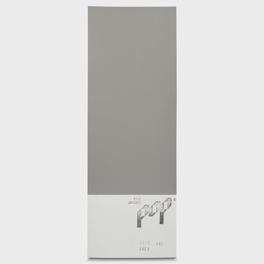 Cats are Grey Paint Sample 100 ml