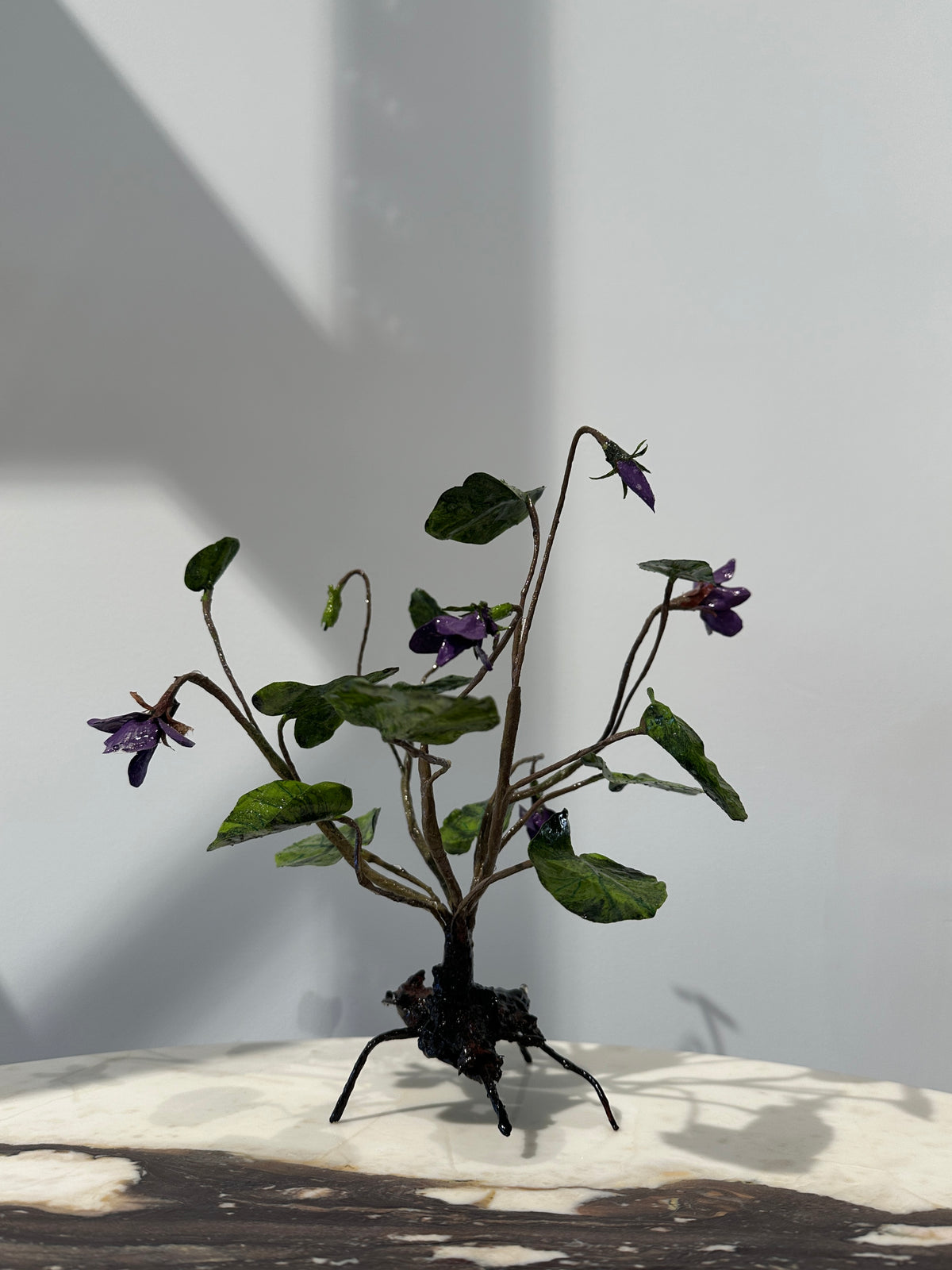 Viola by Louise Moestrup