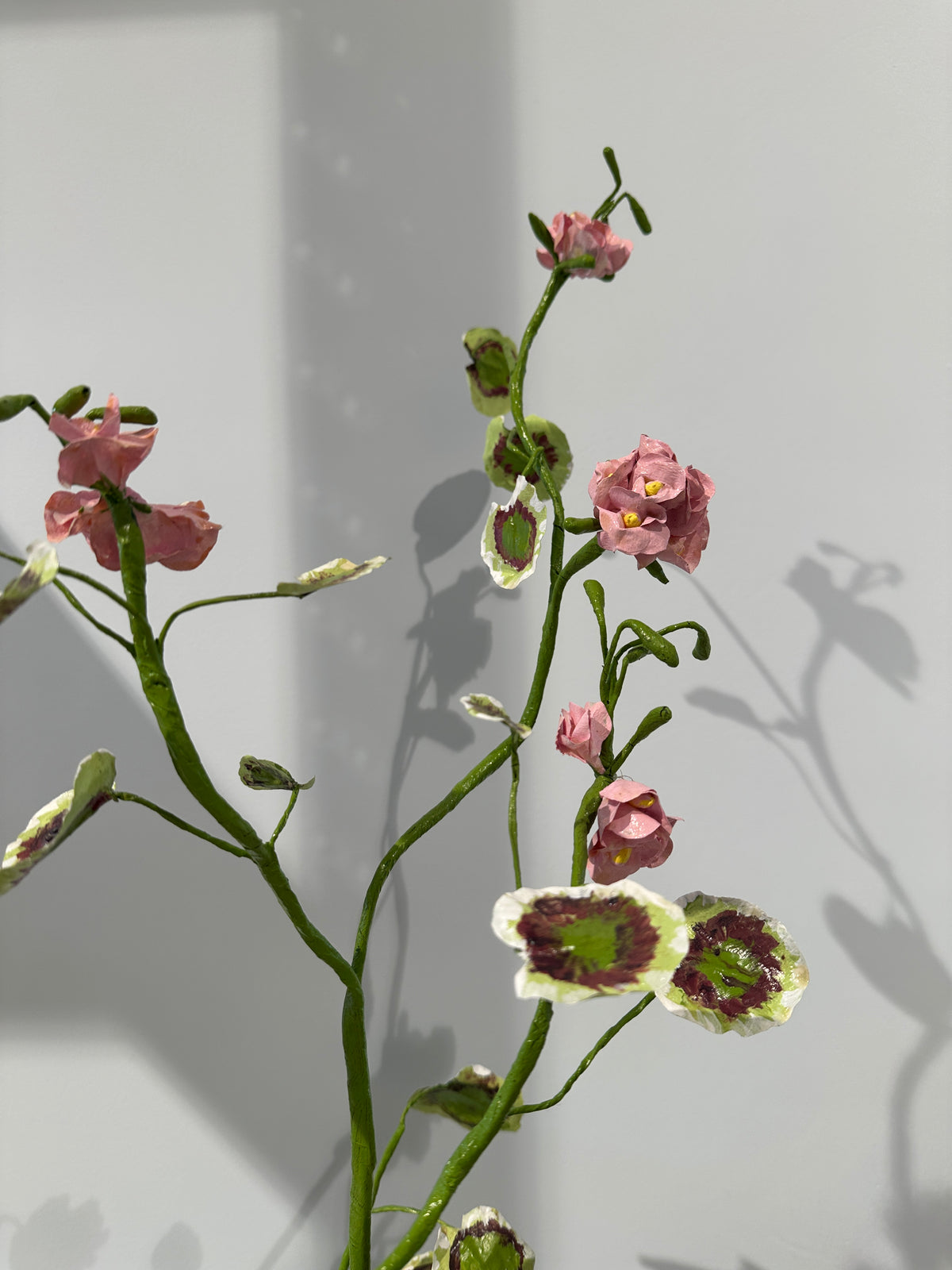 Pelargonium Wandering by Louise Moestrup