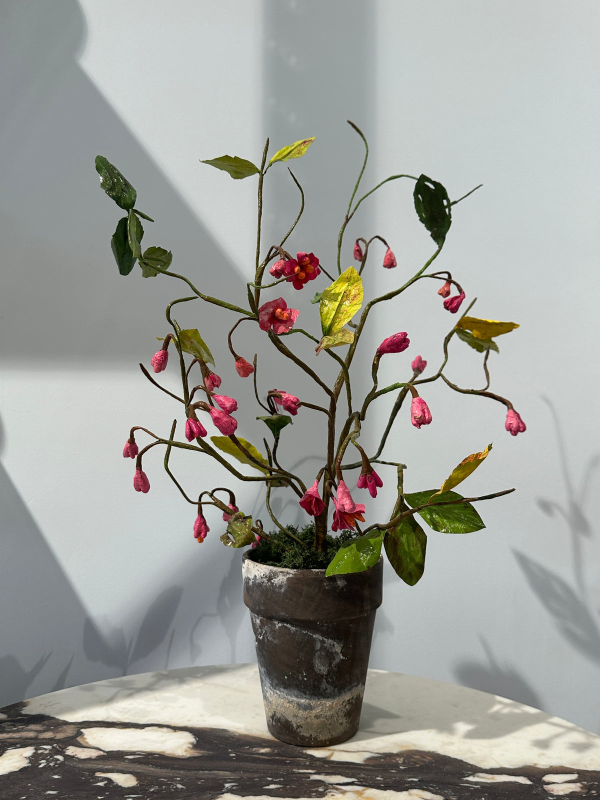 Euonymus by Louise Moestrup