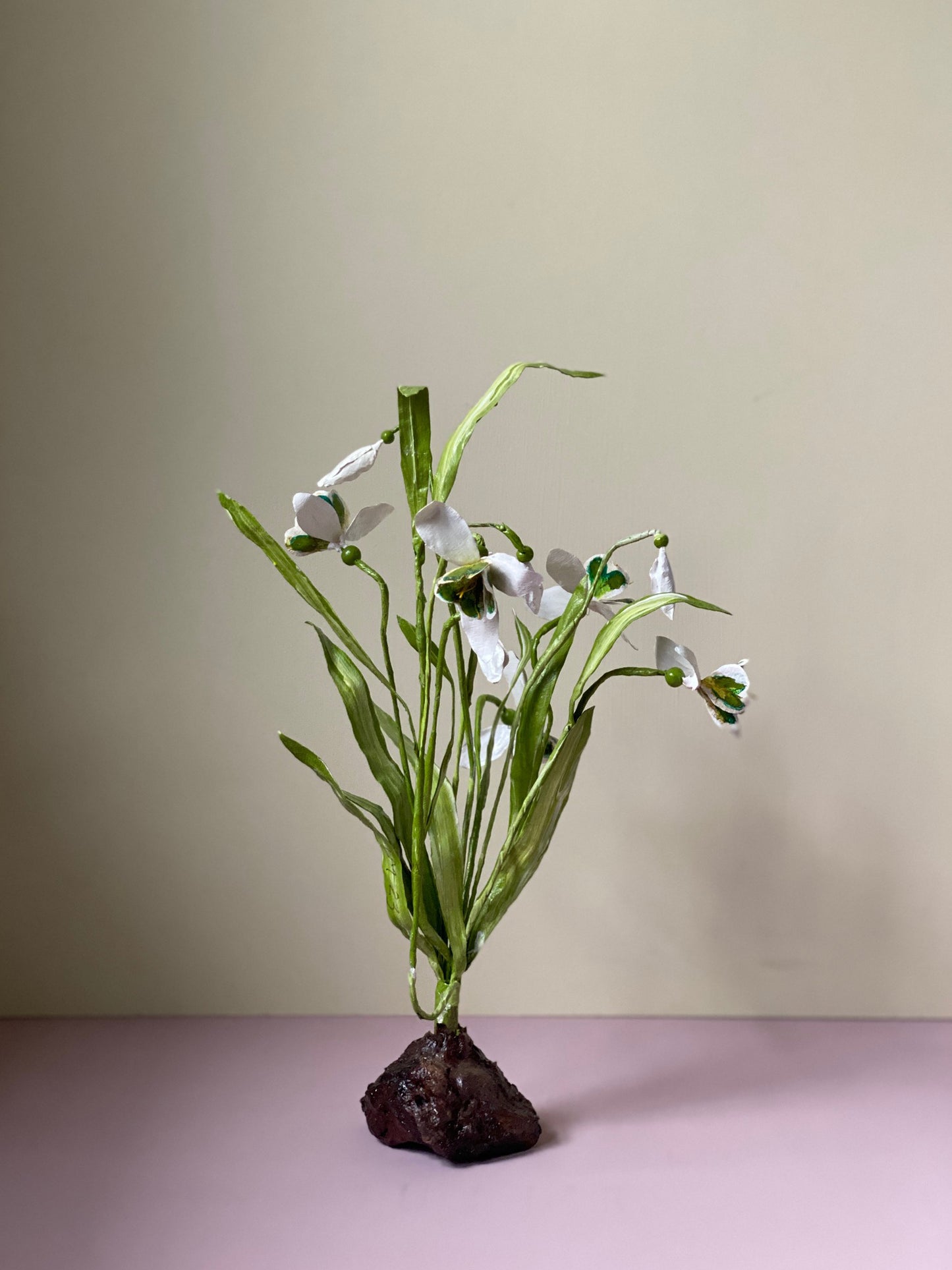 Galanthus Nivalis