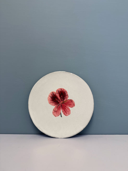 Pelargonium saucer