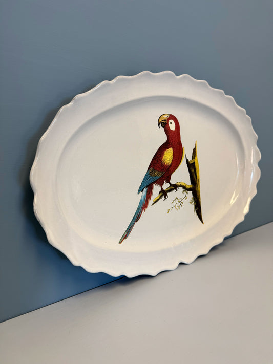 Parrot Max Platter