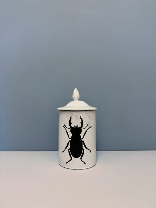John Beetle Vase