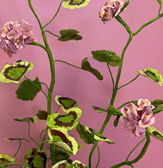 Large Pink Pelargonium