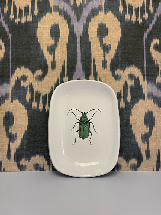 Green Insect Platter