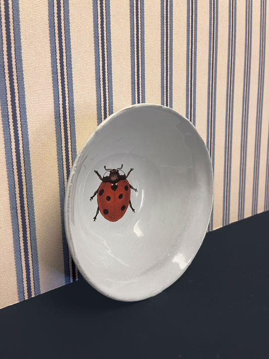 Ladybug Soup Plate