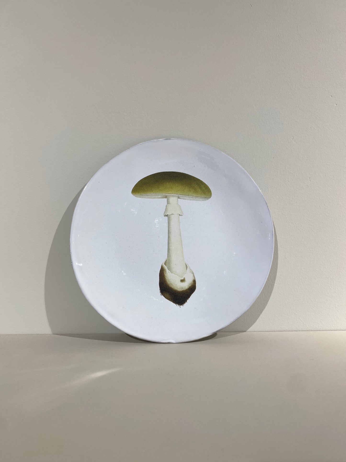 Agaric Bulbeux Dinner Plate
