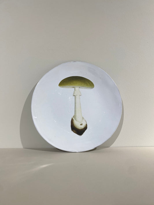 Agaric Bulbeux Dinner Plate
