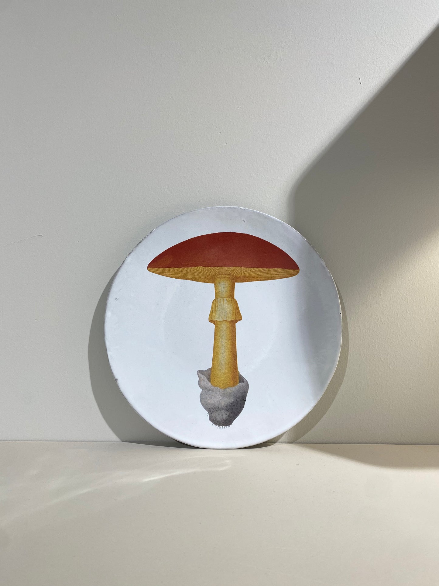 Medium Yellow Agaric Oronge Plate