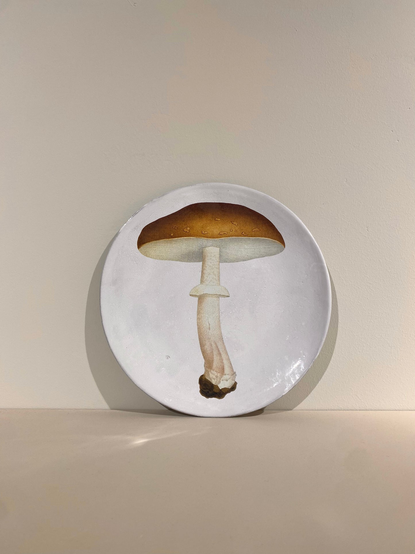 Agaric Blanc Fauve Dinner Plate