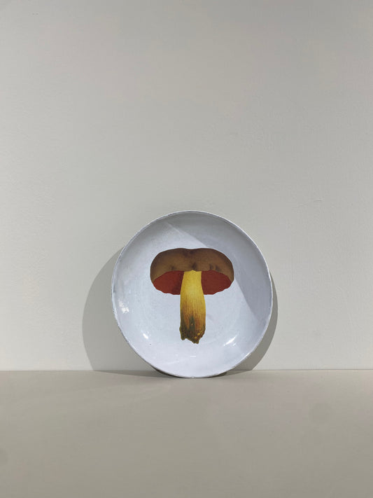 Bolet Pemicieux Soup Plate