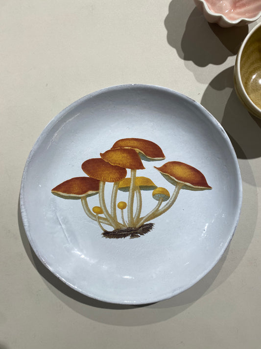 Agaric Amer Soup Plate