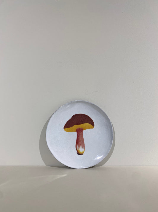 Medium Bolet Chrysentere Plate