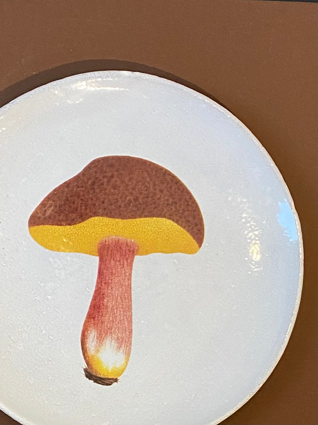 Medium Bolet Chrysentere Plate