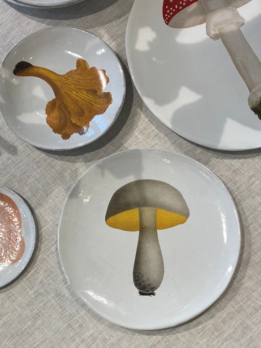 Medium Bolet Blanchatre Plate