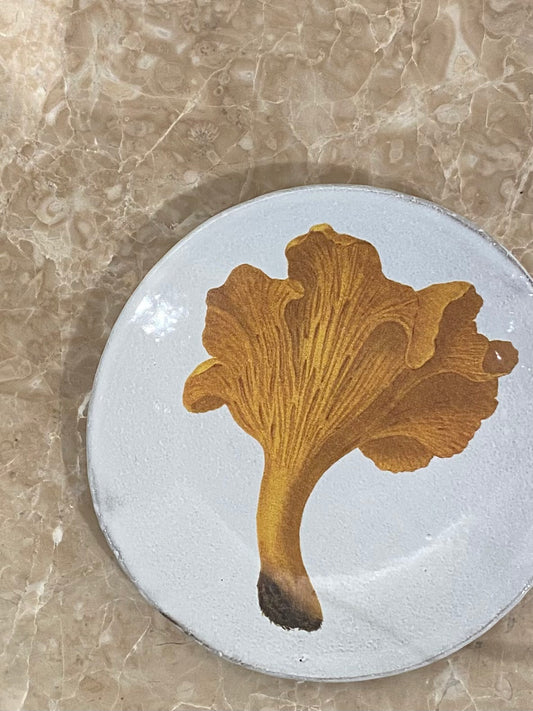 Chanterelle Comestible Plate
