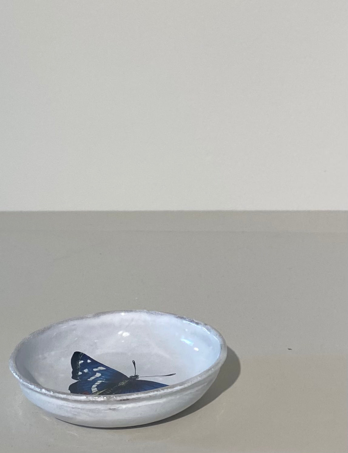 Dark Blue Butterfly Dish