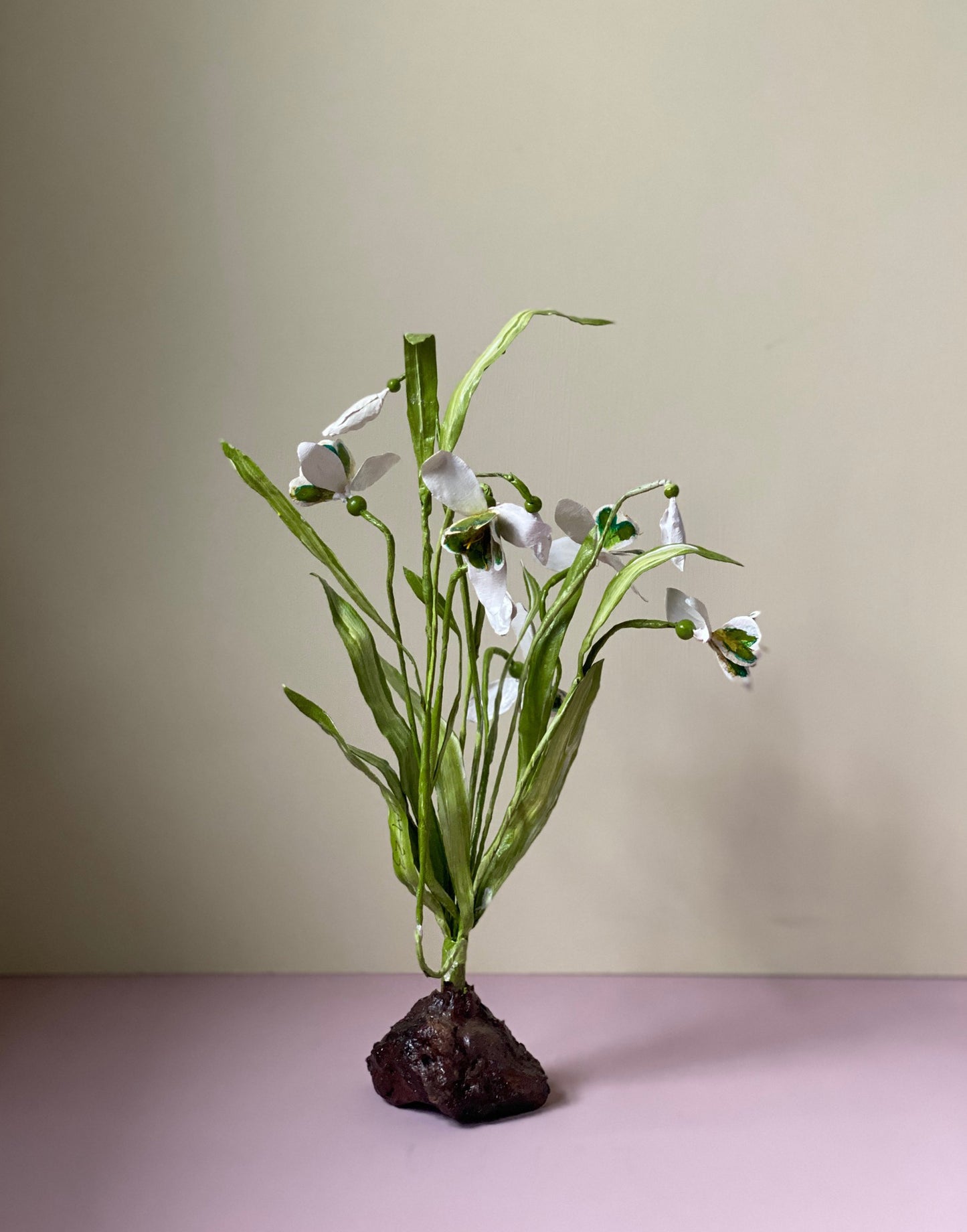 Galanthus Nivalis