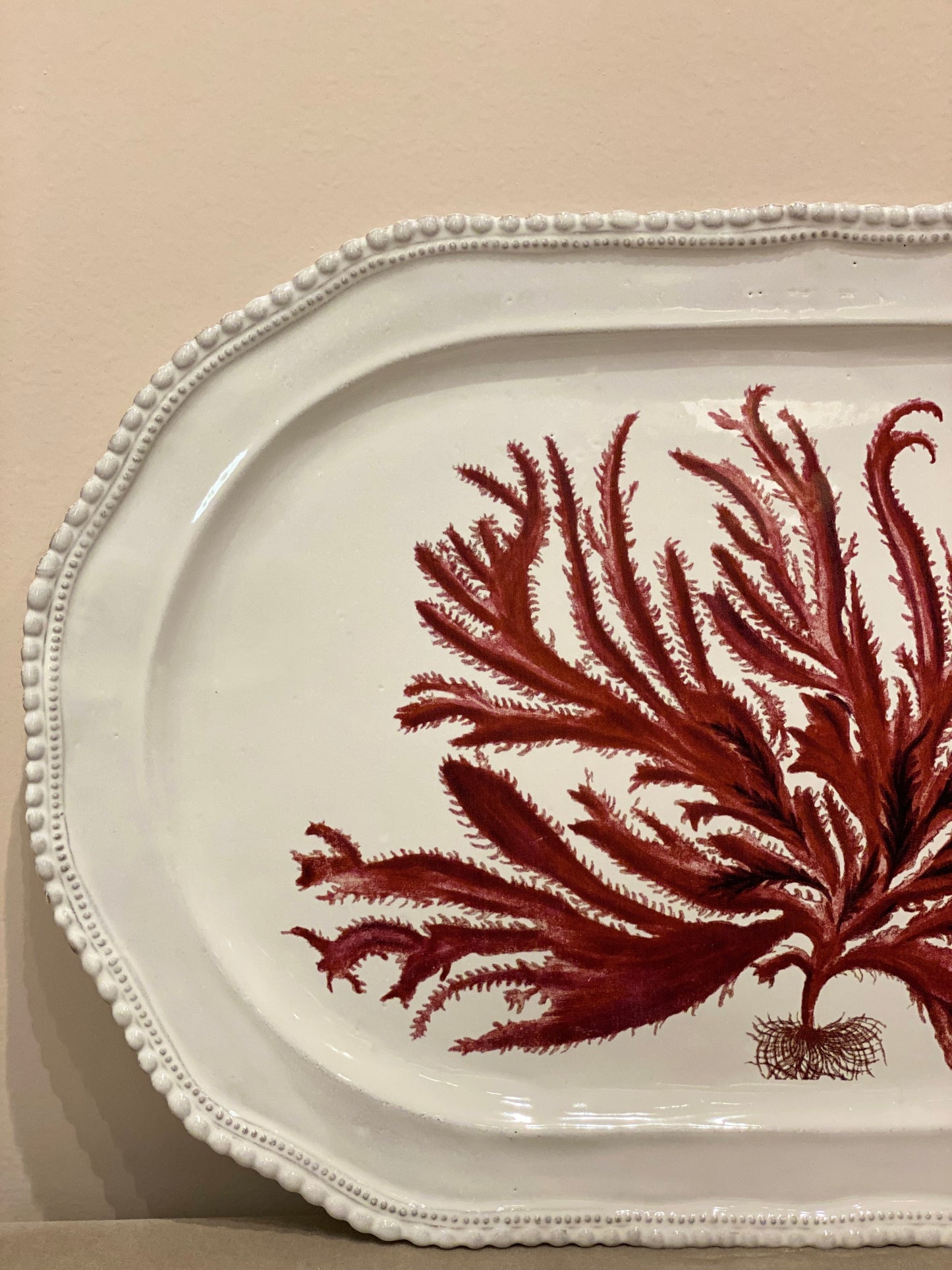 Red Seaweed Platter