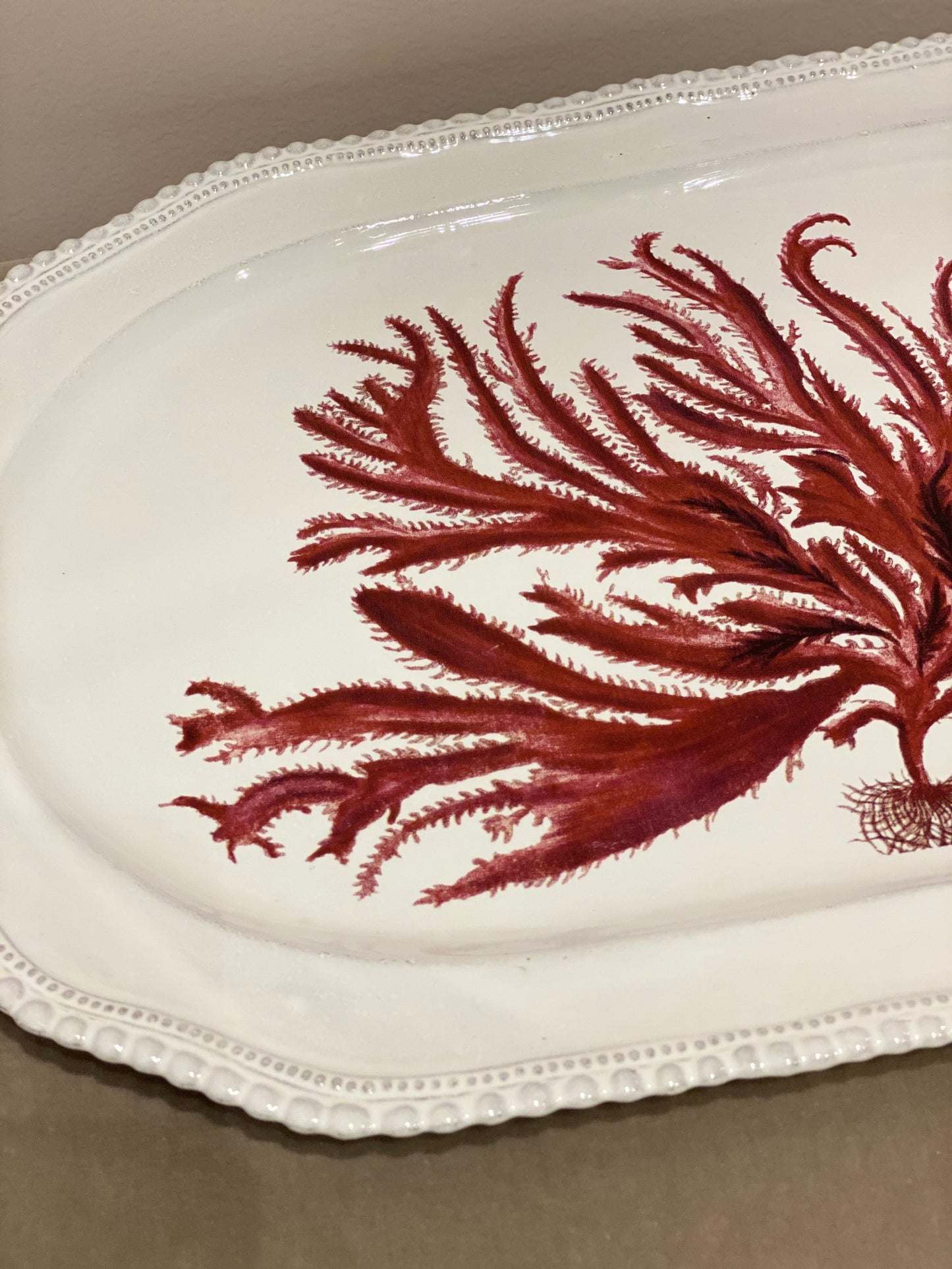 Red Seaweed Platter