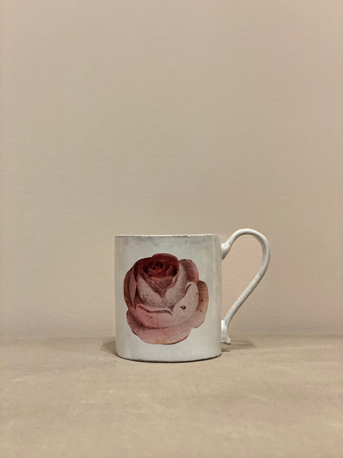 Rose and Insect Mug