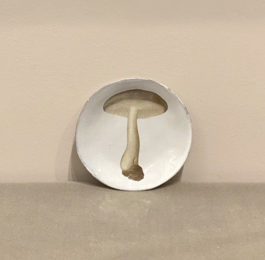 Agaric Nebuleux Plate